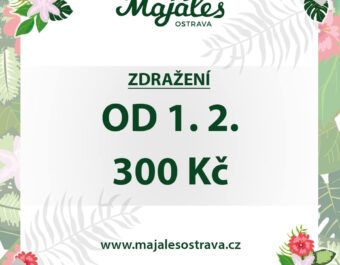 Vstupenka Majáles Ostrava